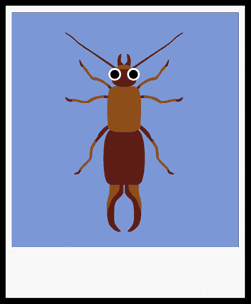 OSCAR EARWIG