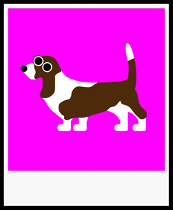 DAISY BASSET HOUND