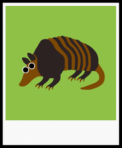 EUGENE ARMADILLO