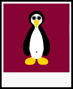 NANCY PENGUIN