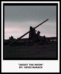 SHOOT THE MOON